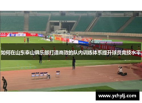 如何在山东泰山俱乐部打造高效的队内训练体系提升球员竞技水平
