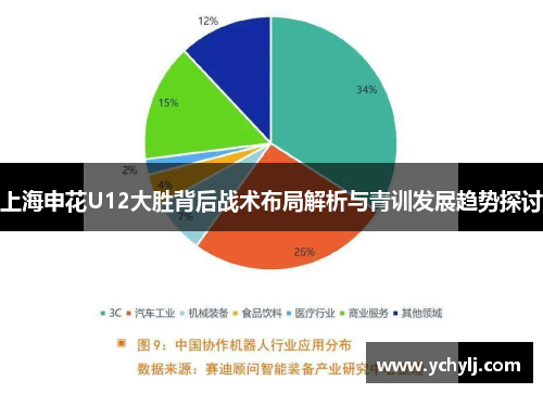 上海申花U12大胜背后战术布局解析与青训发展趋势探讨