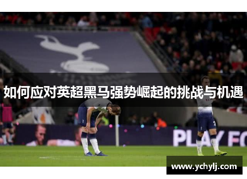 如何应对英超黑马强势崛起的挑战与机遇