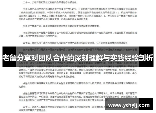 老詹分享对团队合作的深刻理解与实践经验剖析