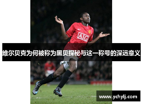 维尔贝克为何被称为黑贝探秘与这一称号的深远意义